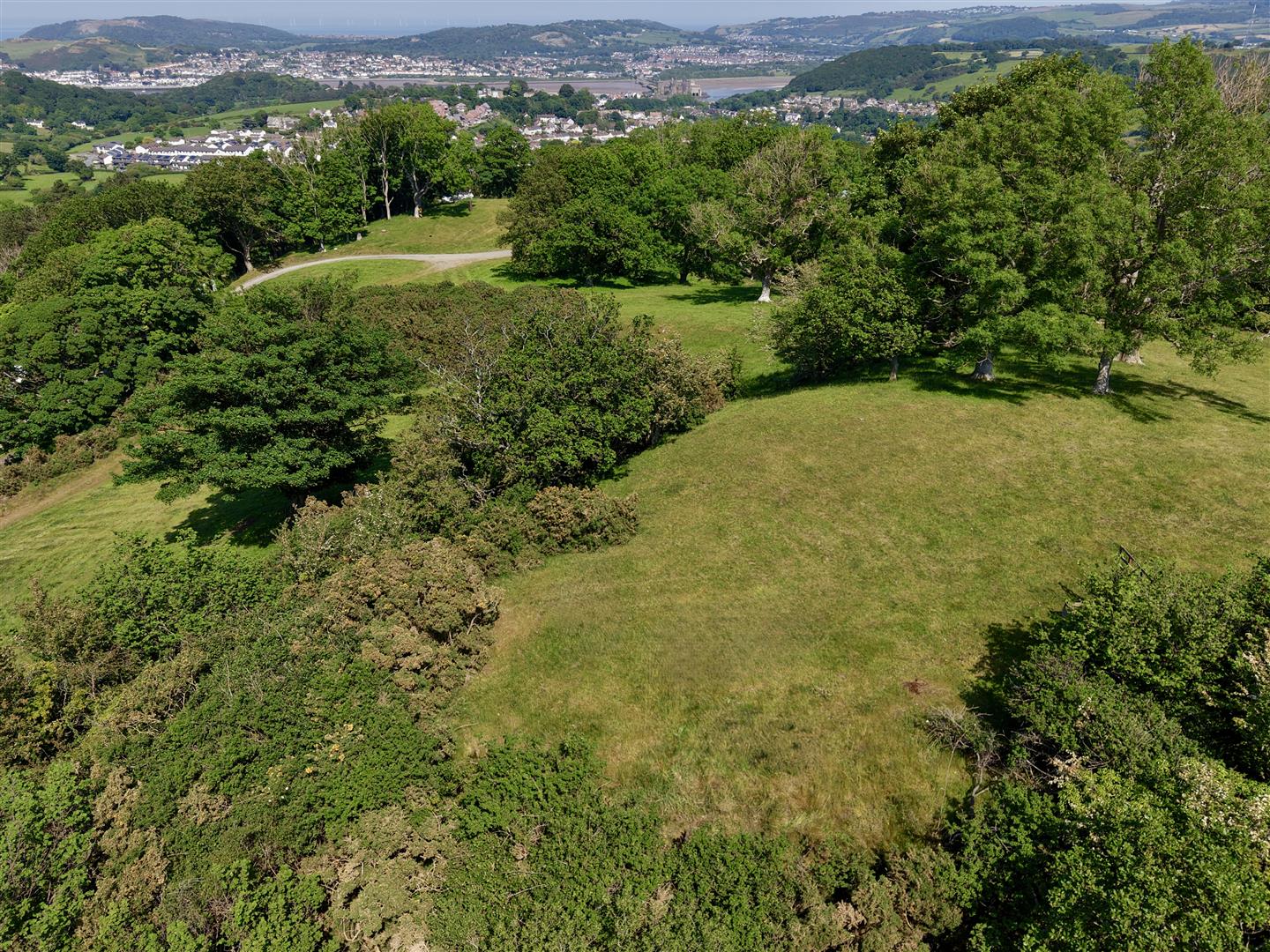 DJI_20260526150533_0285_D.jpg